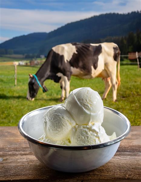 Grote foto boerderij ijs concept 5 geheimen voor succes zakelijke goederen overige zakelijke goederen