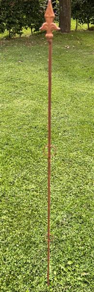 Grote foto plantensteun franse lelie met 2 ogen 116 cm. ps531 tuin en terras overige tuin en terras