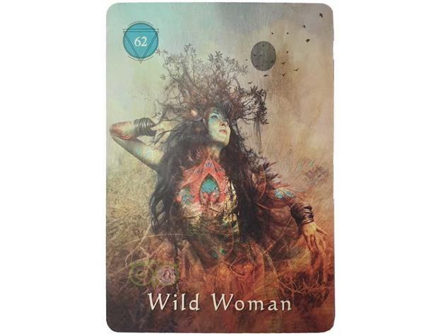 Grote foto mystical shaman oracle cards pocket edition alberto villoldo boeken overige boeken