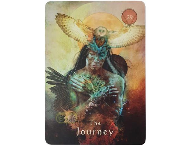 Grote foto mystical shaman oracle cards pocket edition alberto villoldo boeken overige boeken