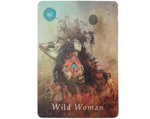 Grote foto mystical shaman oracle cards pocket edition alberto villoldo boeken overige boeken