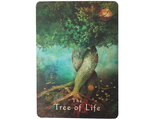 Grote foto mystical shaman oracle cards pocket edition alberto villoldo boeken overige boeken