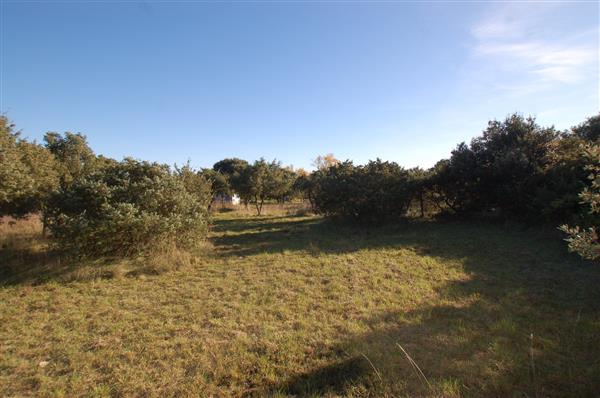 Grote foto groot huis op groot perceel in ardeche huizen en kamers landhuizen