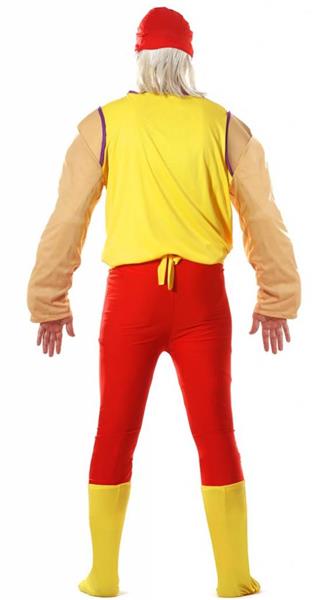 Grote foto hulk hogan kostuum verzamelen overige verzamelingen