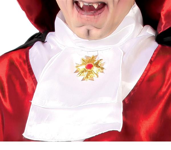 Grote foto halloween kostuum dracula verzamelen overige verzamelingen