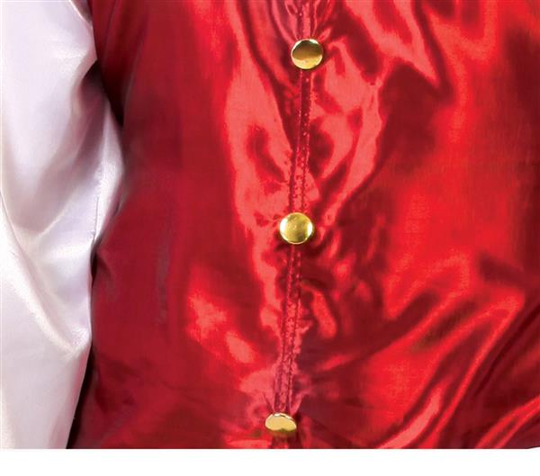 Grote foto halloween kostuum dracula verzamelen overige verzamelingen