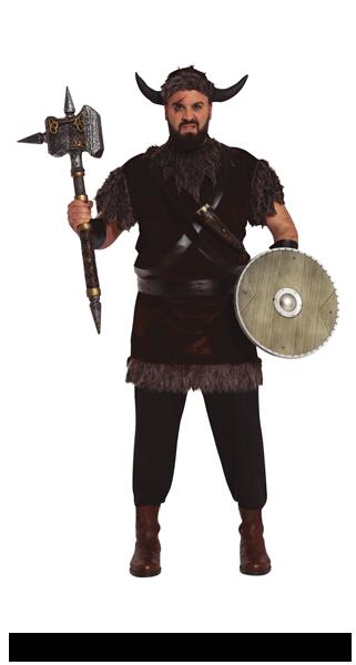 Grote foto viking kostuum bruin grijs heren verzamelen overige verzamelingen