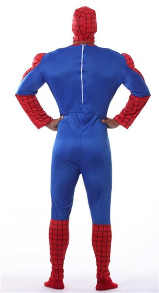 Grote foto spiderman kostuum verzamelen overige verzamelingen