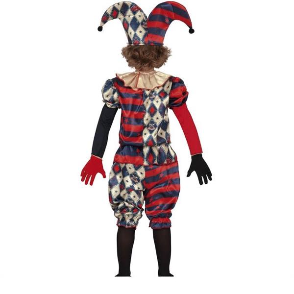 Grote foto harlekijn halloween kostuum kind verzamelen overige verzamelingen