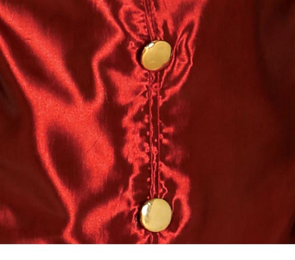 Grote foto dracula halloween kostuum kind verzamelen overige verzamelingen