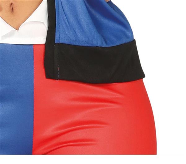 Grote foto harley quinn halloween kostuum meisje verzamelen overige verzamelingen