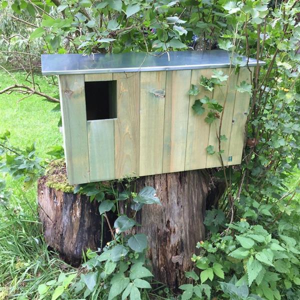 Grote foto prachtige nestkast voor vogels en eekhoorns tuin en terras tuindecoratie