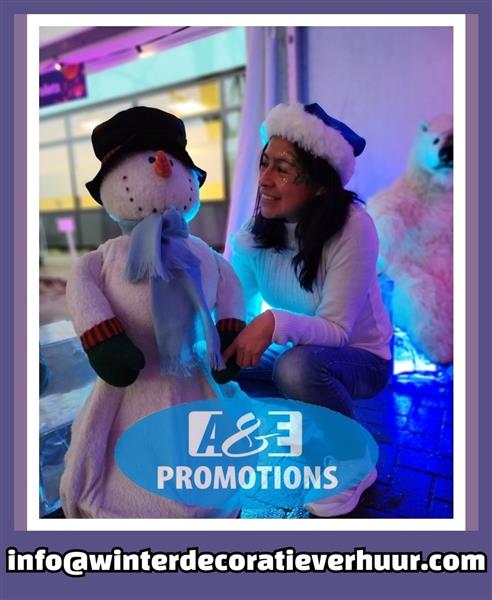 Grote foto verhuur top winterwonderland figuren enschede hobby en vrije tijd feestartikelen