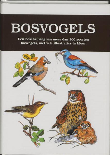 Grote foto bosvogels boeken hobby en vrije tijd