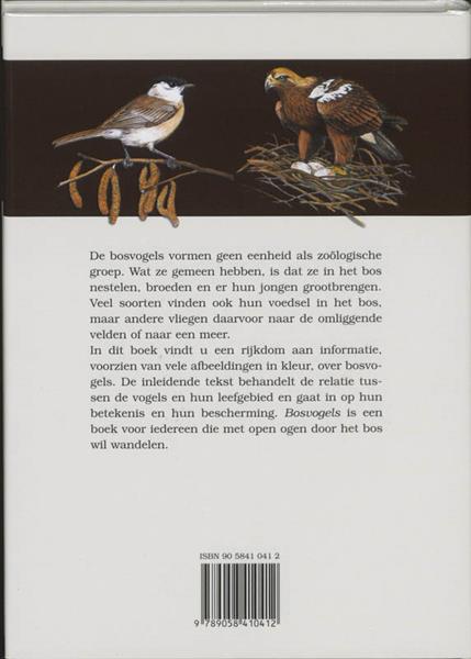 Grote foto bosvogels boeken hobby en vrije tijd