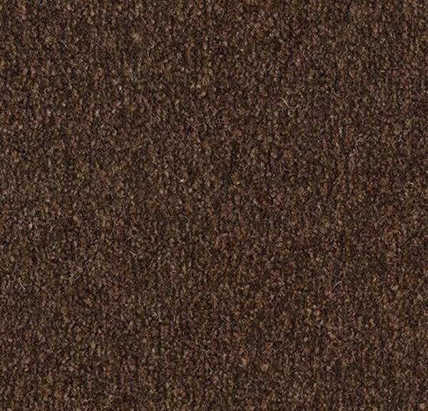 Grote foto coral marine tanger brown watersport en boten accessoires en onderhoud