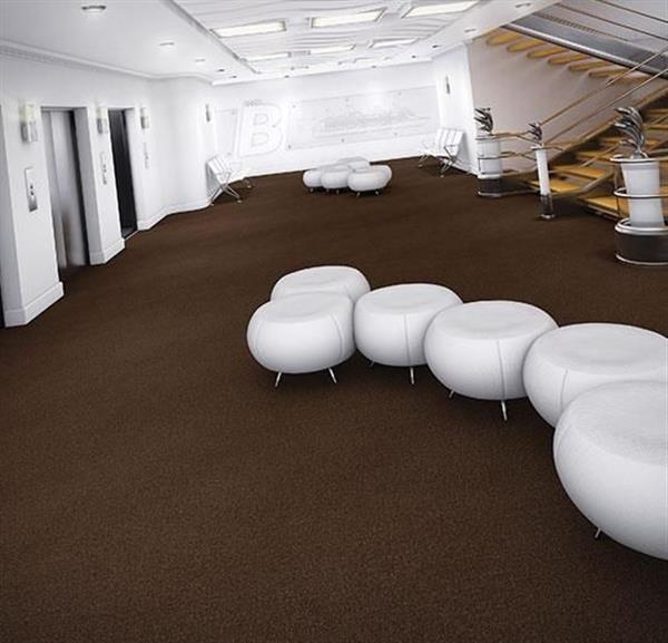 Grote foto coral marine tanger brown watersport en boten accessoires en onderhoud