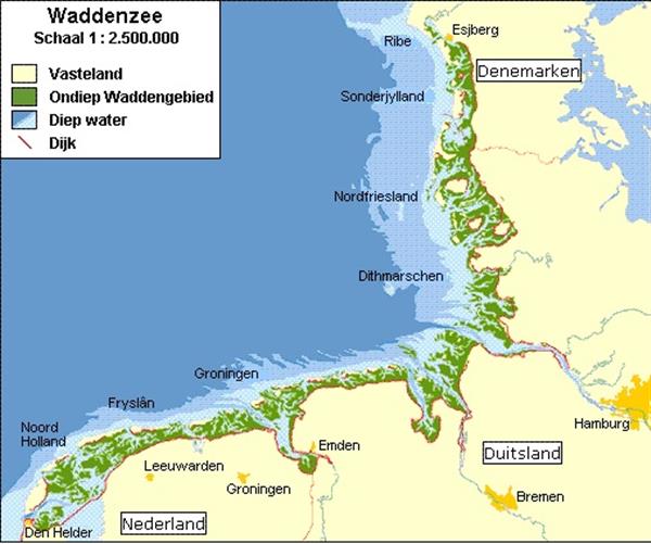 Grote foto nederland 5 euro 2016 waddenvijfje eerste dag van uitgifte verzamelen munten overige