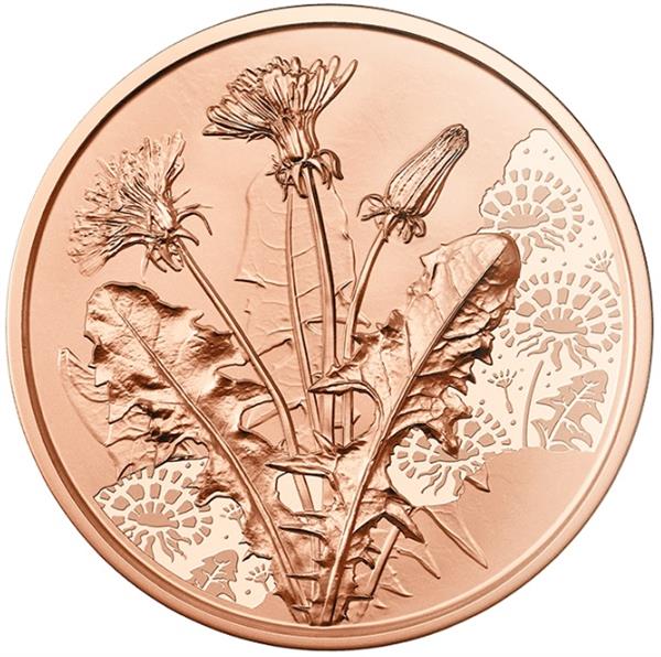 Grote foto oostenrijk 10 euro 2022 paardenbloem koper verzamelen munten overige