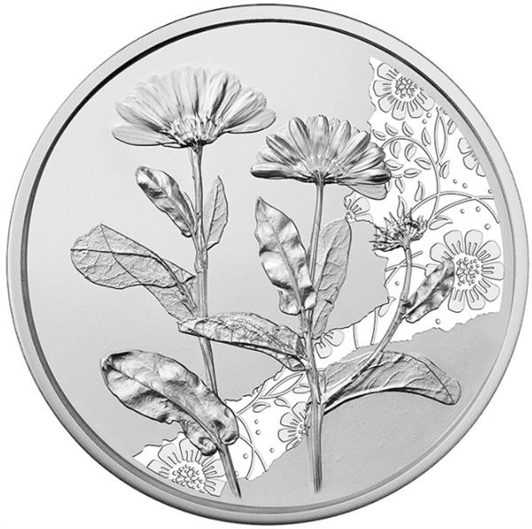 Grote foto oostenrijk 10 euro 2022 de goudsbloem zilver bu verzamelen munten overige