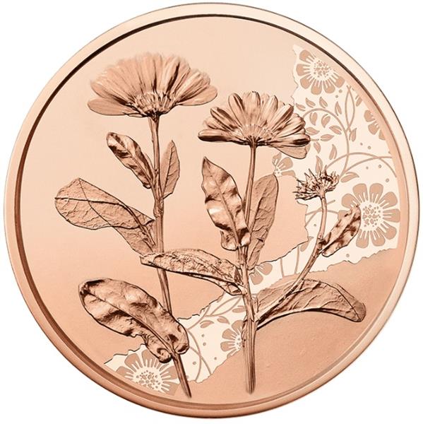 Grote foto oostenrijk 10 euro 2022 de goudsbloem koper verzamelen munten overige