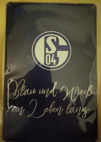 Grote foto schalke 04 metalen retro wandborden 20x30 cm verzamelen overige verzamelingen
