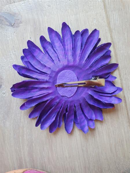 Grote foto purple zebra daisy. kleding dames sieraden