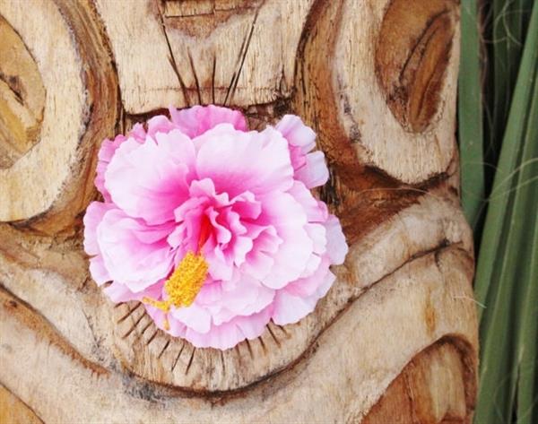 Grote foto lila jo pink and white hibiscus. kleding dames sieraden