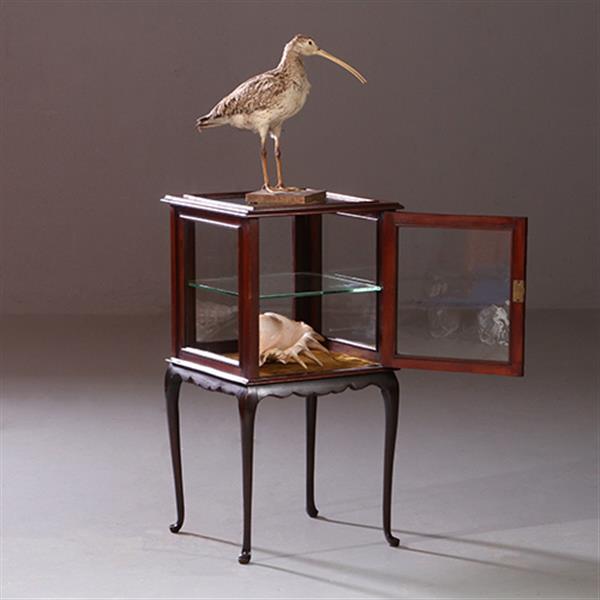 Grote foto antieke bijzettafels vierkante vitrinetafel ca. 1890 in mahonie engeland no.883020 antiek en kunst stoelen en banken