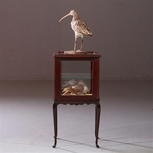 Grote foto antieke bijzettafels vierkante vitrinetafel ca. 1890 in mahonie engeland no.883020 antiek en kunst stoelen en banken