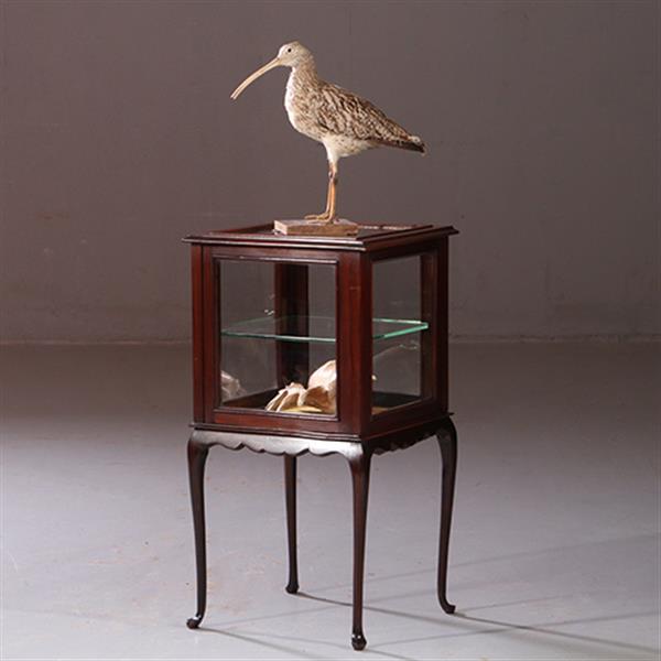 Grote foto antieke bijzettafels vierkante vitrinetafel ca. 1890 in mahonie engeland no.883020 antiek en kunst stoelen en banken