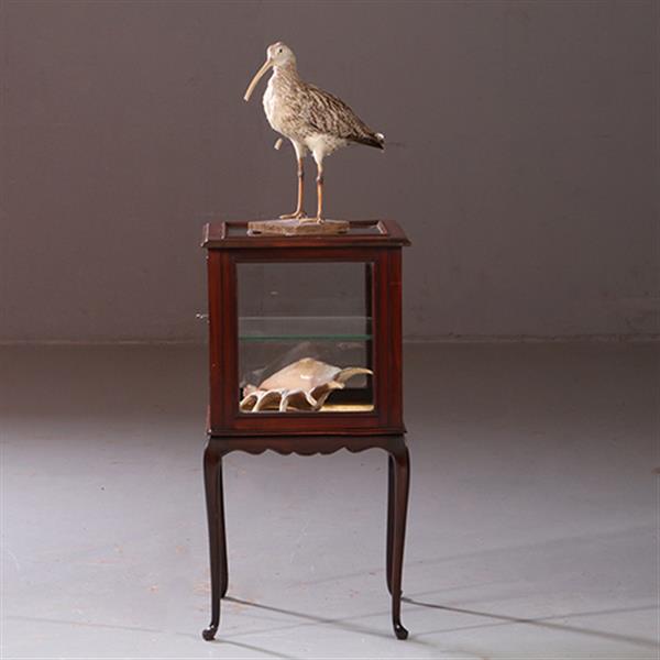 Grote foto antieke bijzettafels vierkante vitrinetafel ca. 1890 in mahonie engeland no.883020 antiek en kunst stoelen en banken