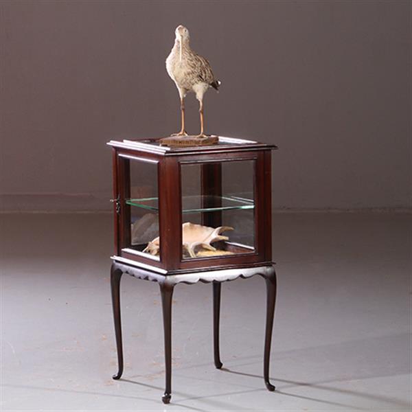 Grote foto antieke bijzettafels vierkante vitrinetafel ca. 1890 in mahonie engeland no.883020 antiek en kunst stoelen en banken