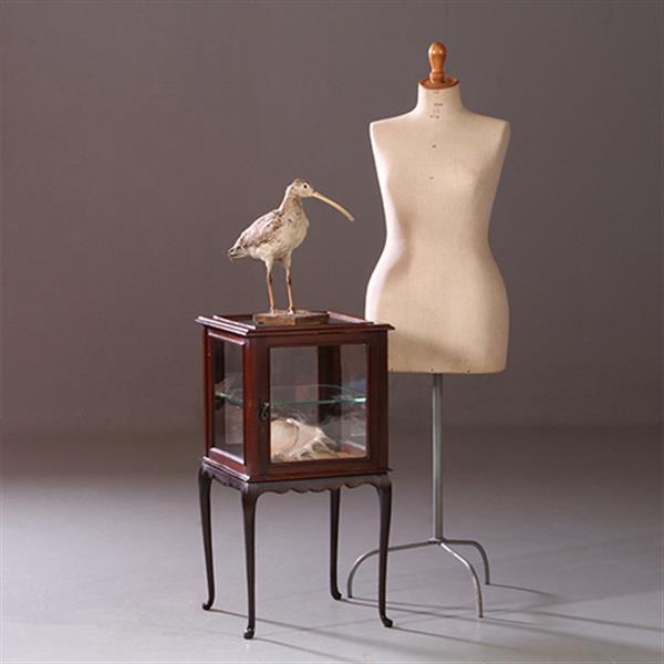 Grote foto antieke bijzettafels vierkante vitrinetafel ca. 1890 in mahonie engeland no.883020 antiek en kunst stoelen en banken