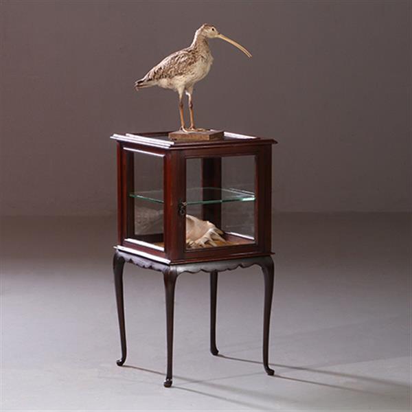 Grote foto antieke bijzettafels vierkante vitrinetafel ca. 1890 in mahonie engeland no.883020 antiek en kunst stoelen en banken
