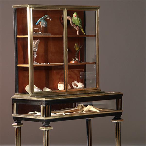 Grote foto pianovormige verzamelaars vitrine of display cabinet in brons met zwart ca 1880 no.950145 antiek en kunst stoelen en banken