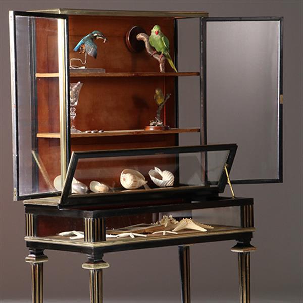 Grote foto pianovormige verzamelaars vitrine of display cabinet in brons met zwart ca 1880 no.950145 antiek en kunst stoelen en banken