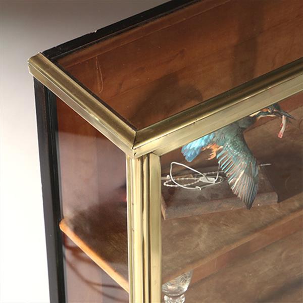 Grote foto pianovormige verzamelaars vitrine of display cabinet in brons met zwart ca 1880 no.950145 antiek en kunst stoelen en banken