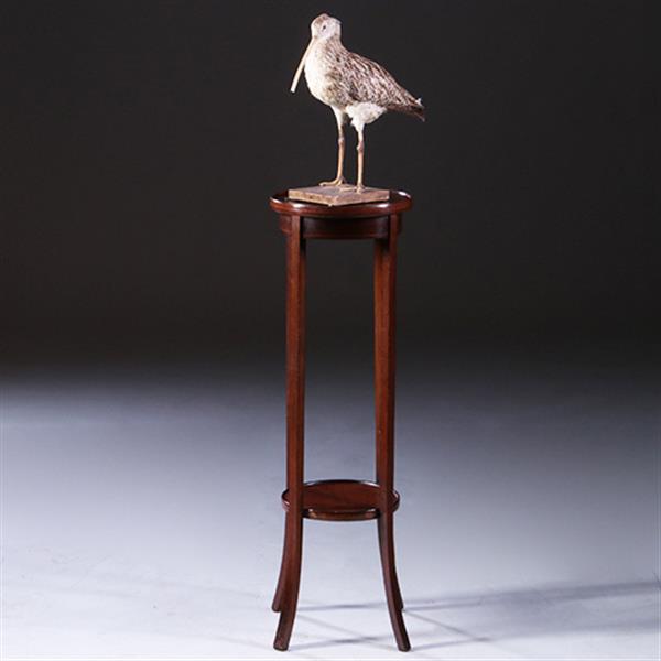 Grote foto hollandse lampetafel in strak mahonie ca. 1900 met ingelegde biesjes no.222120 antiek en kunst stoelen en banken