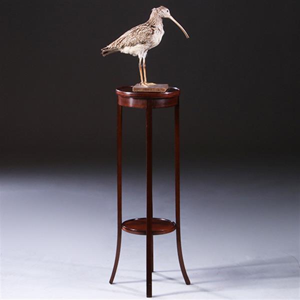 Grote foto hollandse lampetafel in strak mahonie ca. 1900 met ingelegde biesjes no.222120 antiek en kunst stoelen en banken