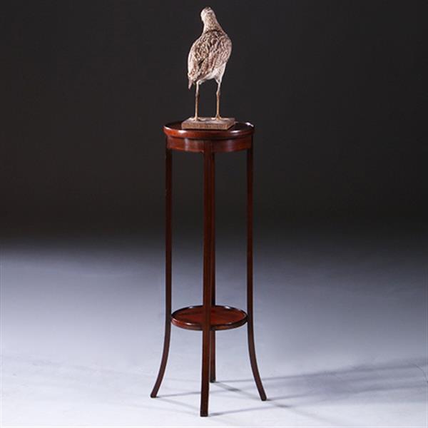 Grote foto hollandse lampetafel in strak mahonie ca. 1900 met ingelegde biesjes no.222120 antiek en kunst stoelen en banken