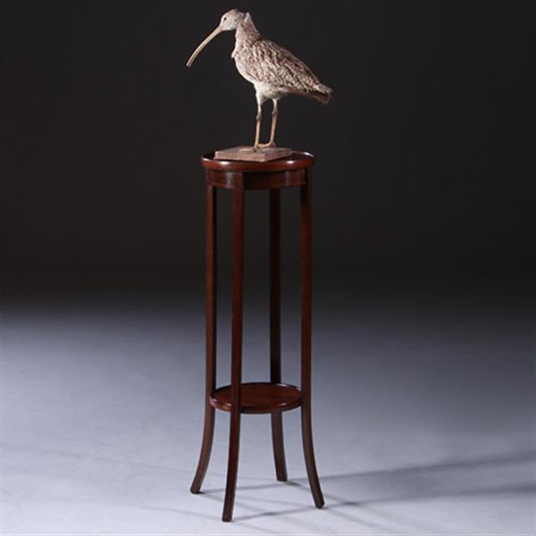 Grote foto hollandse lampetafel in strak mahonie ca. 1900 met ingelegde biesjes no.222120 antiek en kunst stoelen en banken