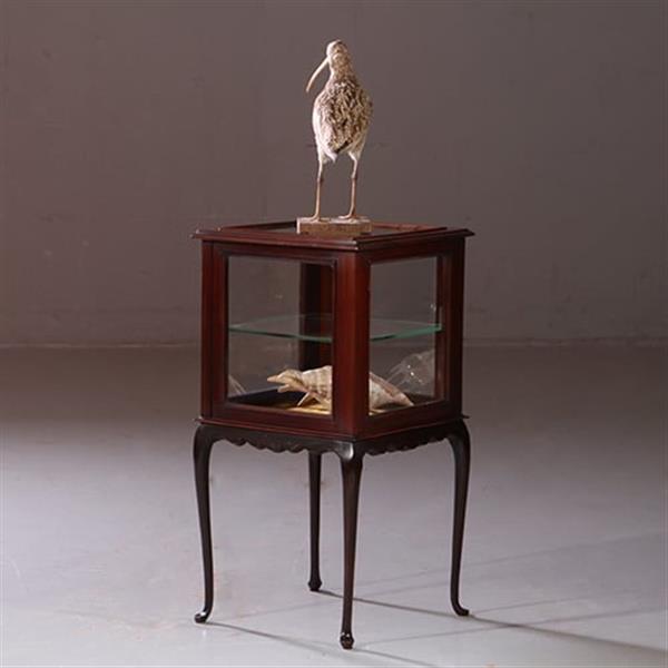 Grote foto antieke bijzettafels vierkante vitrinetafel ca. 1890 in mahonie engeland no.883020 antiek en kunst stoelen en banken
