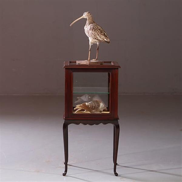 Grote foto antieke bijzettafels vierkante vitrinetafel ca. 1890 in mahonie engeland no.883020 antiek en kunst stoelen en banken