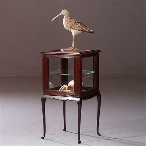 Grote foto antieke bijzettafels vierkante vitrinetafel ca. 1890 in mahonie engeland no.883020 antiek en kunst stoelen en banken