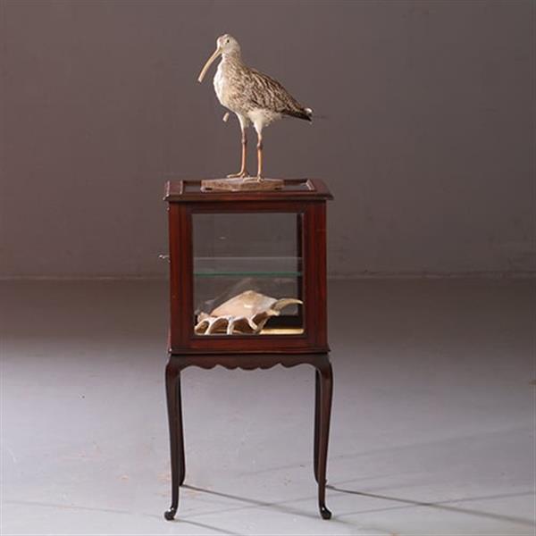 Grote foto antieke bijzettafels vierkante vitrinetafel ca. 1890 in mahonie engeland no.883020 antiek en kunst stoelen en banken