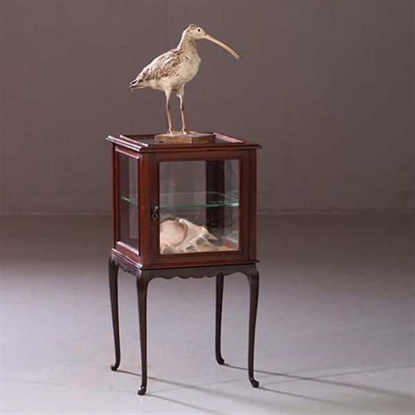 Grote foto antieke bijzettafels vierkante vitrinetafel ca. 1890 in mahonie engeland no.883020 antiek en kunst stoelen en banken