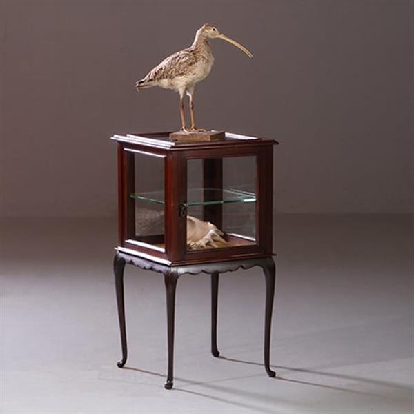 Grote foto antieke bijzettafels vierkante vitrinetafel ca. 1890 in mahonie engeland no.883020 antiek en kunst stoelen en banken