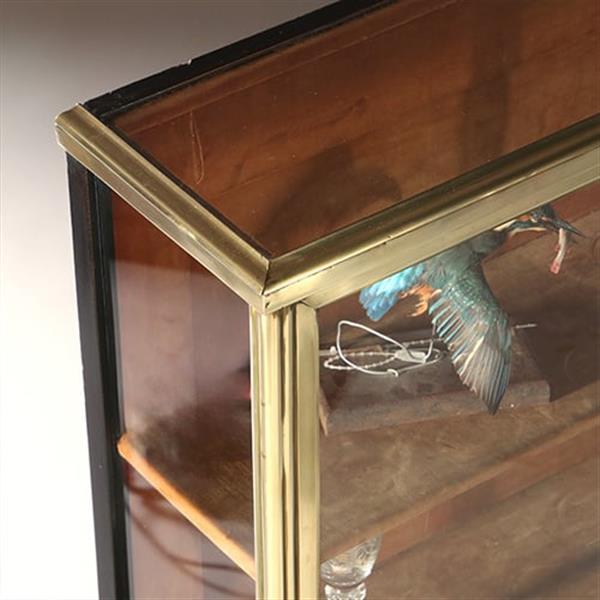 Grote foto pianovormige verzamelaars vitrine of display cabinet in brons met zwart ca 1880 no.950145 antiek en kunst stoelen en banken