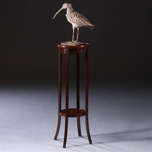 Grote foto hollandse lampetafel in strak mahonie ca. 1900 met ingelegde biesjes no.222120 antiek en kunst stoelen en banken